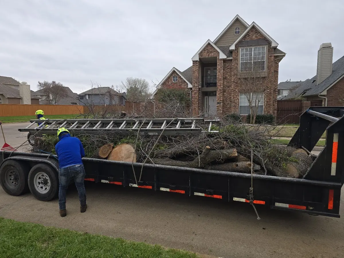 Expert Tree Fertilization with proper safety equipment in Lumberport